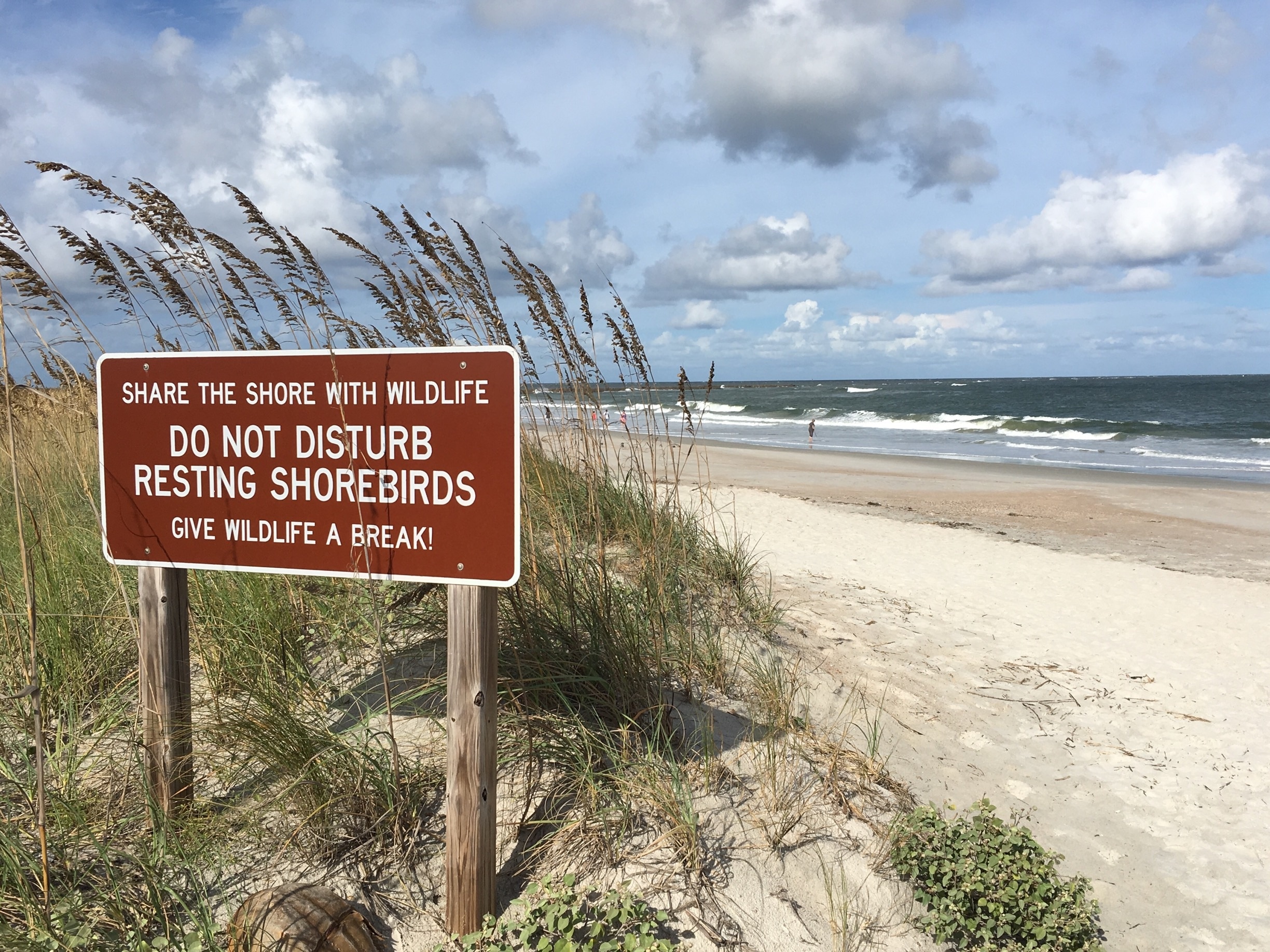 Fort Clinch State Park: Camping, glorious beach, history