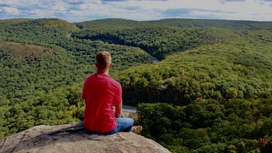 Little mountain range outside West Point. Parking lot on side of highway where one trail starts, leads you up to a couple of nice lookouts over Hudson River or landscape as seen in picture. About 2 hour hike to look around whole trail. 