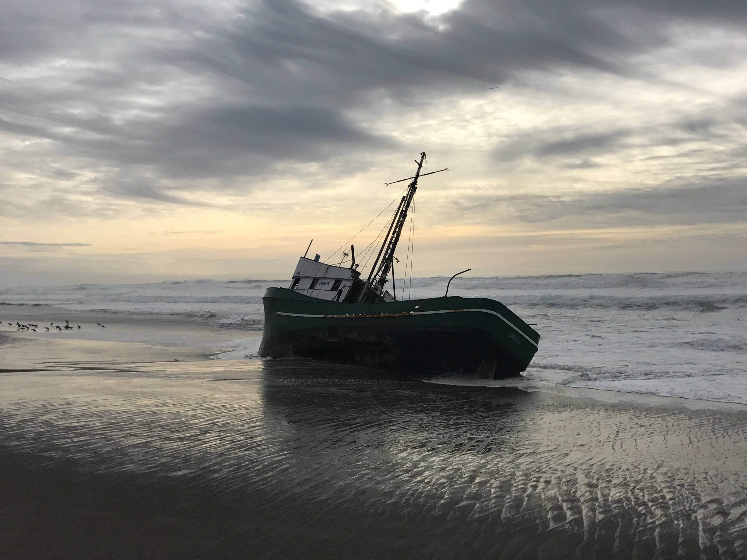 Shipwreck on a Bodega Beach. I've been coming to this beach since I was a kid and this was by far the coolest thing I've seen. #weekendgetaway
