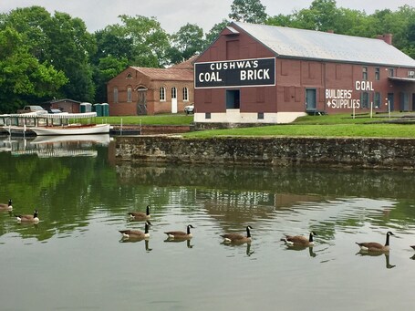 value: "C & O Canal in Williamsport, MD. 185 miles in total dug by hand in the 17th century connecting Washington DC to Cumberland, MD. It was used for the transportation of material and products. It was replaced, almost before it was completed, by the railroads.  "
