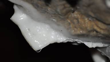 Crystal Cave is in Kutztown PA. This cave has so many stilagties and stilagmites and is really interesting to explore. You have to pay to get in but it's great. I've been there 3 or 4 times over the past 30 years and it doesn't change. It's cool dampish but not moldy. 