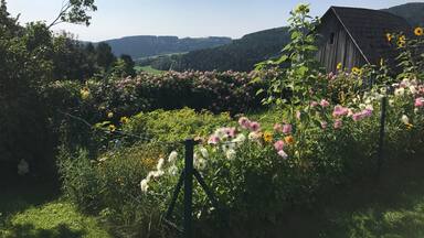 idyllic tableau in the Viennese Alps