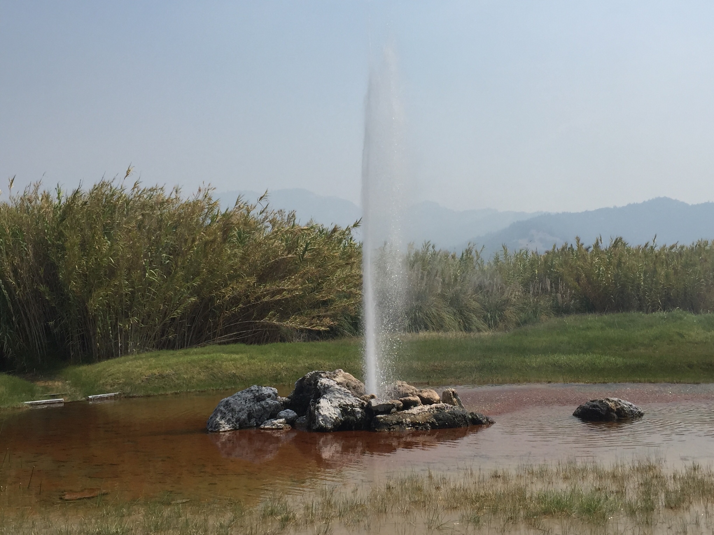 World famous Napa valley. This geyser is one of 3 in the world that consistently spouts. Some nearby trails, a petrified forest approximately 4 miles away and some roads to bike and tour... but most of all nestled in a beautiful valley that is world famous for its wines