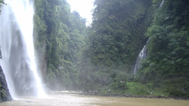 Visiting Pagsanjan Falls is quite an experience as they are only accessible by canoe through the river rapids. 
Most hotels can organise a river tour for you with local and experienced boatmen to navigate the rapids. 
#NationalPark
#Waterlust