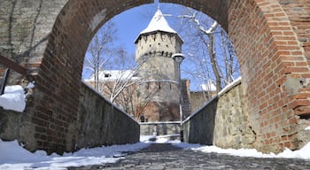 Der Zimmermannsturm (rumänisch : Turnul Dulgherilor; lateinisch : turris carpentariorum) in Hermannstadt