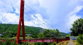 Pedestrian bridge in the Georgian capital of Tbilisi. 
