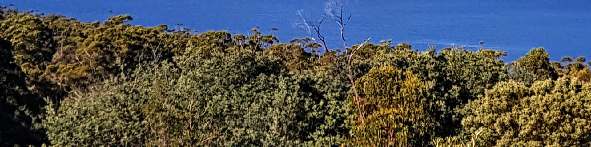 Pirates Cove in Tasmania on the road to Port Arthur. #LifeAtExpedia