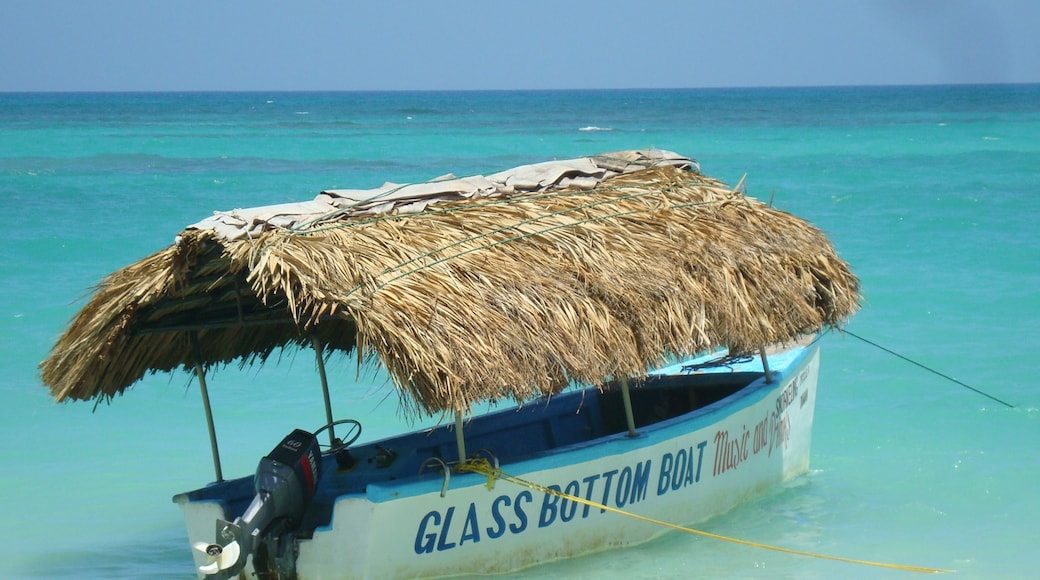 Cortecito tengerpart, Punta Cana, La Altagracia, Dominikai Köztársaság