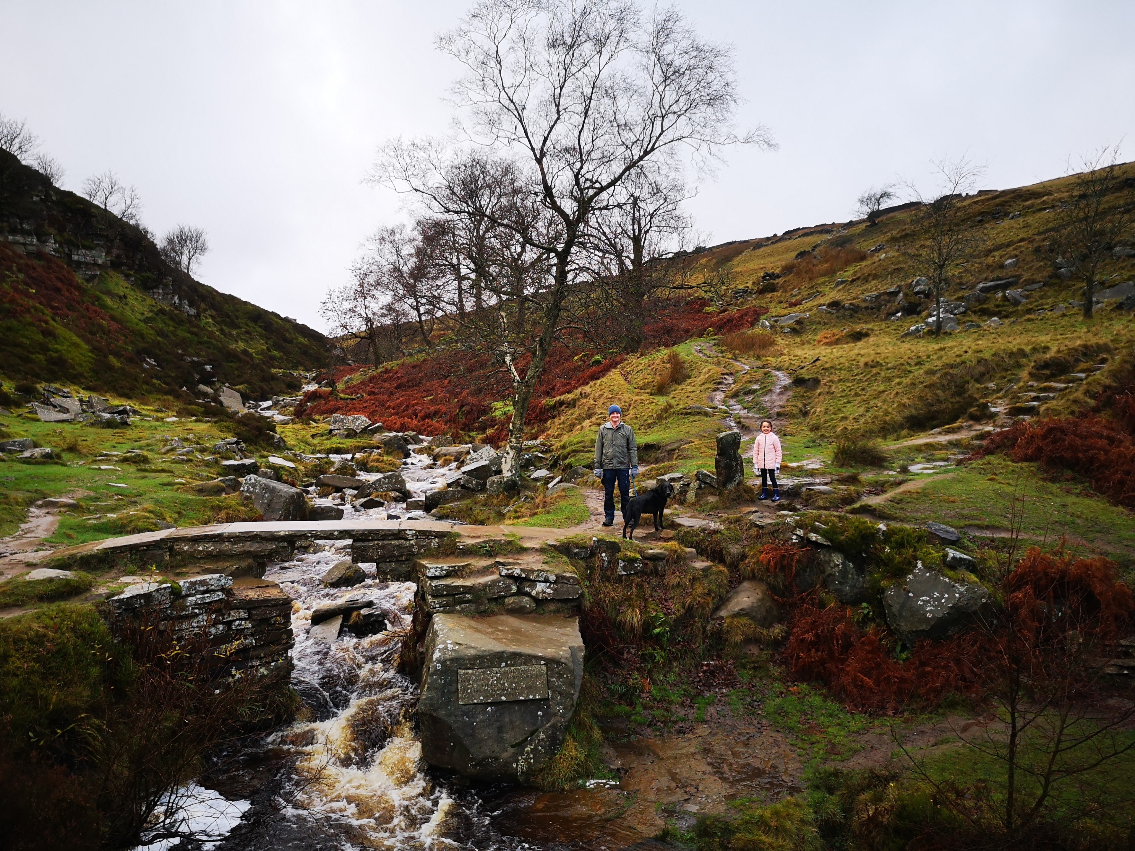 The packhorse bridge near the Bronte Falls , Haworth, Yorkshire. Resplendent scenery even on a wuthering day in December. :)
