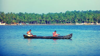 This place in north Kerala is very beautiful and calm. House boats are available in the Periyar river. Two fisherman  singing and boating waved to me. Click !!