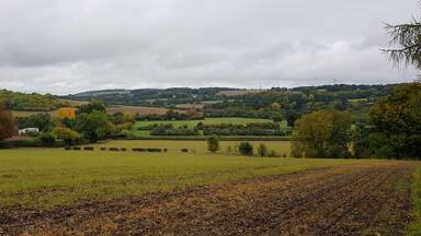 Autumn starting to set in the Buckinghamshire countryside