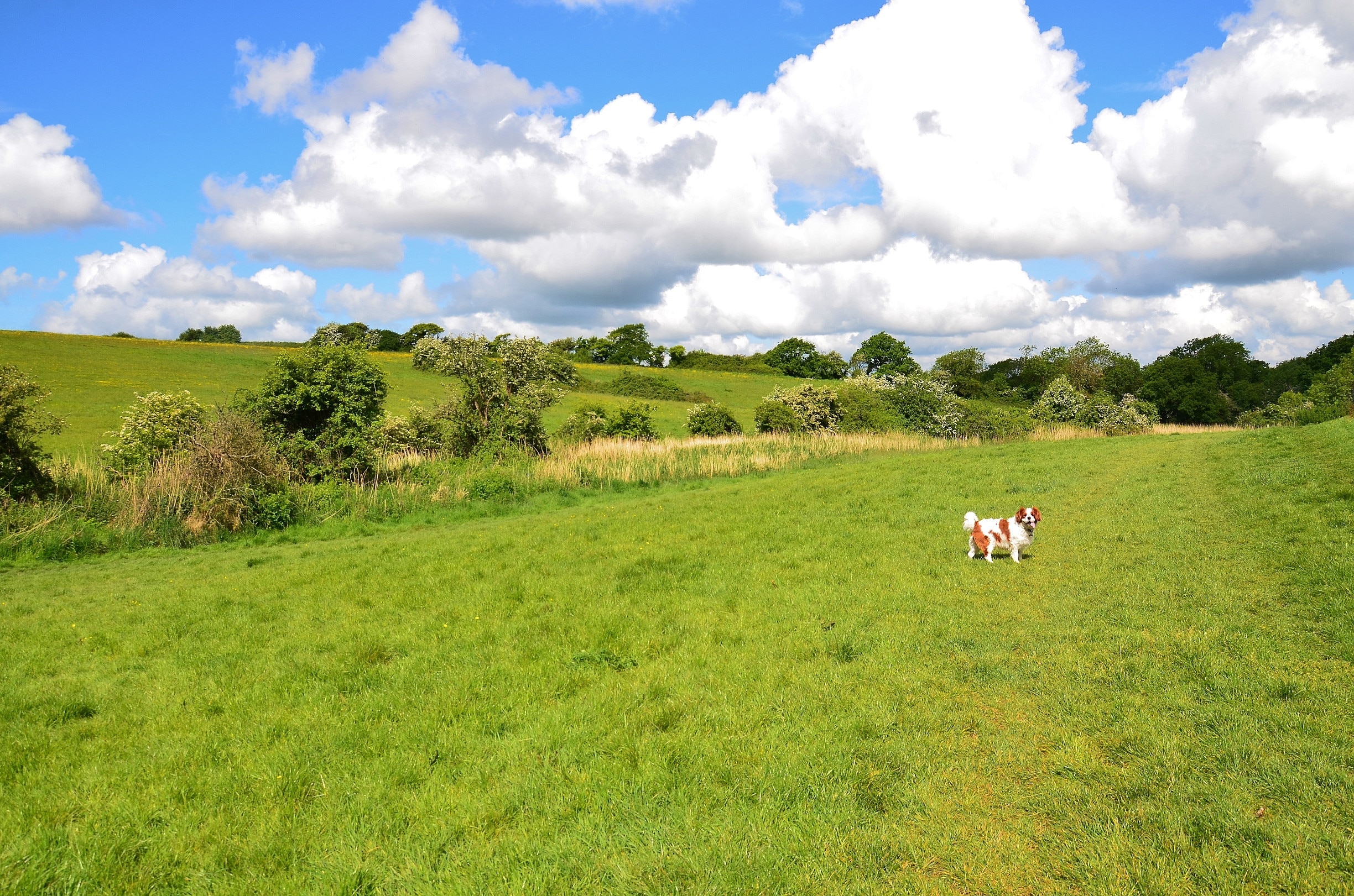 Sully Travel Guide Best of Sully, Cardiff Travel 2024 Expedia.co.uk