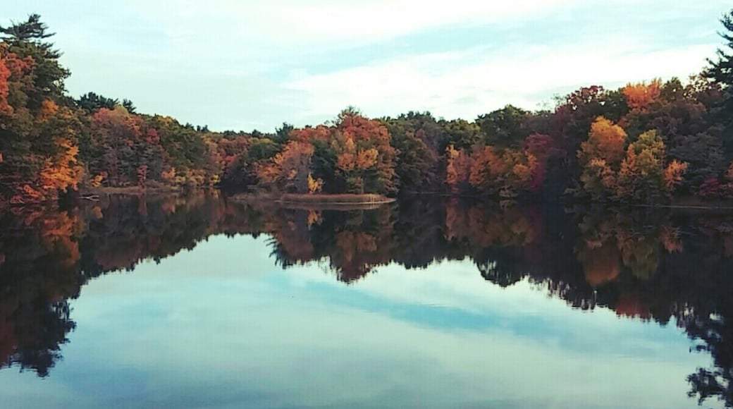 Foto de Jenna Miller