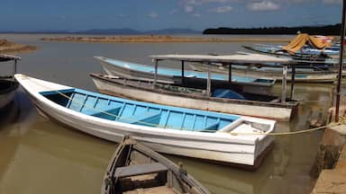 Fishing Boats docked outside of Waterloo along the west coast of Trinidad. In addition to the great scenery (Port of Spain and the NW coast of Trinidad are visible in the distance) this is an excellent place to look for birds including several over-wintering shorebird species like Whimbrel and Black-necked Stilts.