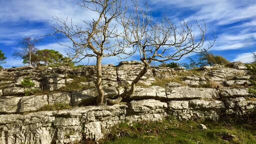 Foto von Kathy Appleby