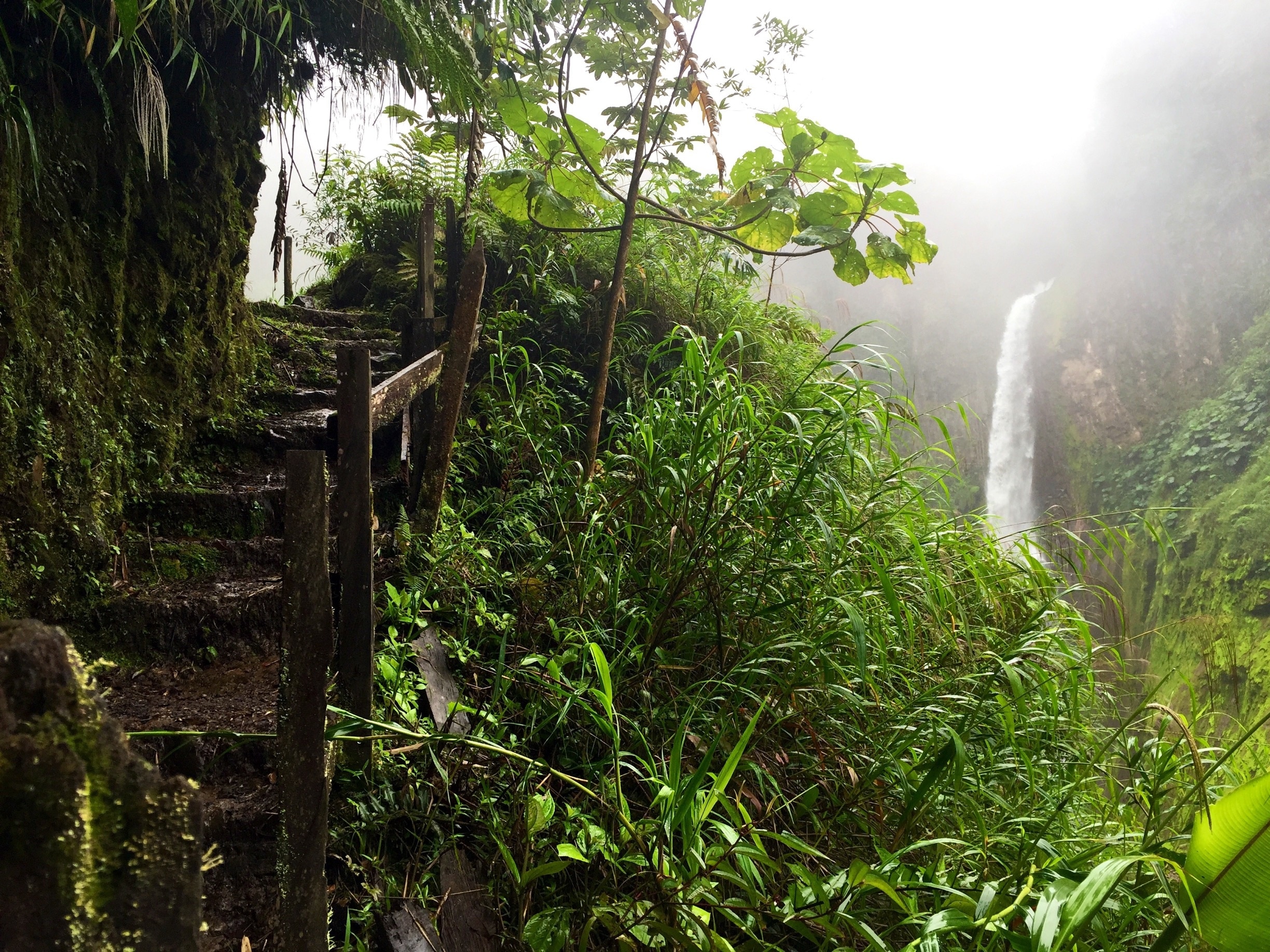 Wonderous hidden gem in Costa Rica. The most beautiful waterfall I've ever seen.