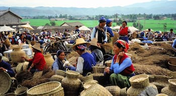 Weekly market outside Liajiang. These photos were actually taken 25 years ago with old slide film, so they don't really qualify as "discoveries." But I recently got my Asia photos digitized and wanted to share them.