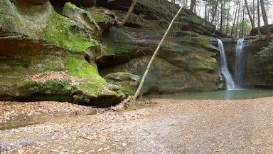 The highlight of the hike has to be the waterfalls at the end of the box canyon.

Rock Stalls Natural Sanctuary is a 70 acre private preserve in the Hocking Hills area that is owned and operated by Camp Akita, but the management of Camp Akita also allows access to the general public.

The sanctuary is definitely off the beaten path in the sometimes tourist heavy hocking hills area. It offers a quiet bit of respite with beautiful scenery in a box canyon with a creek and waterfalls.