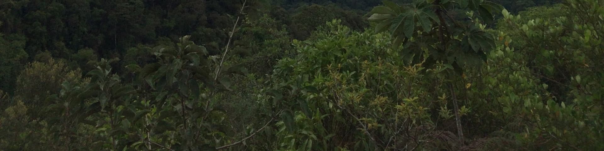 Paisagem espetáculo