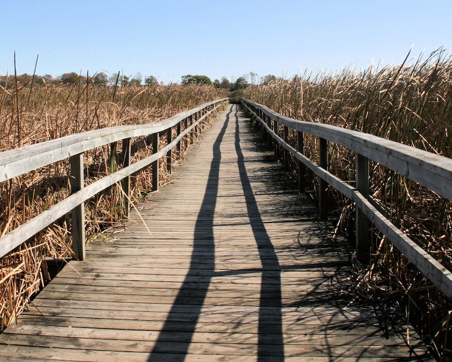 Beautiful Wildlife Reserve near Toronto.