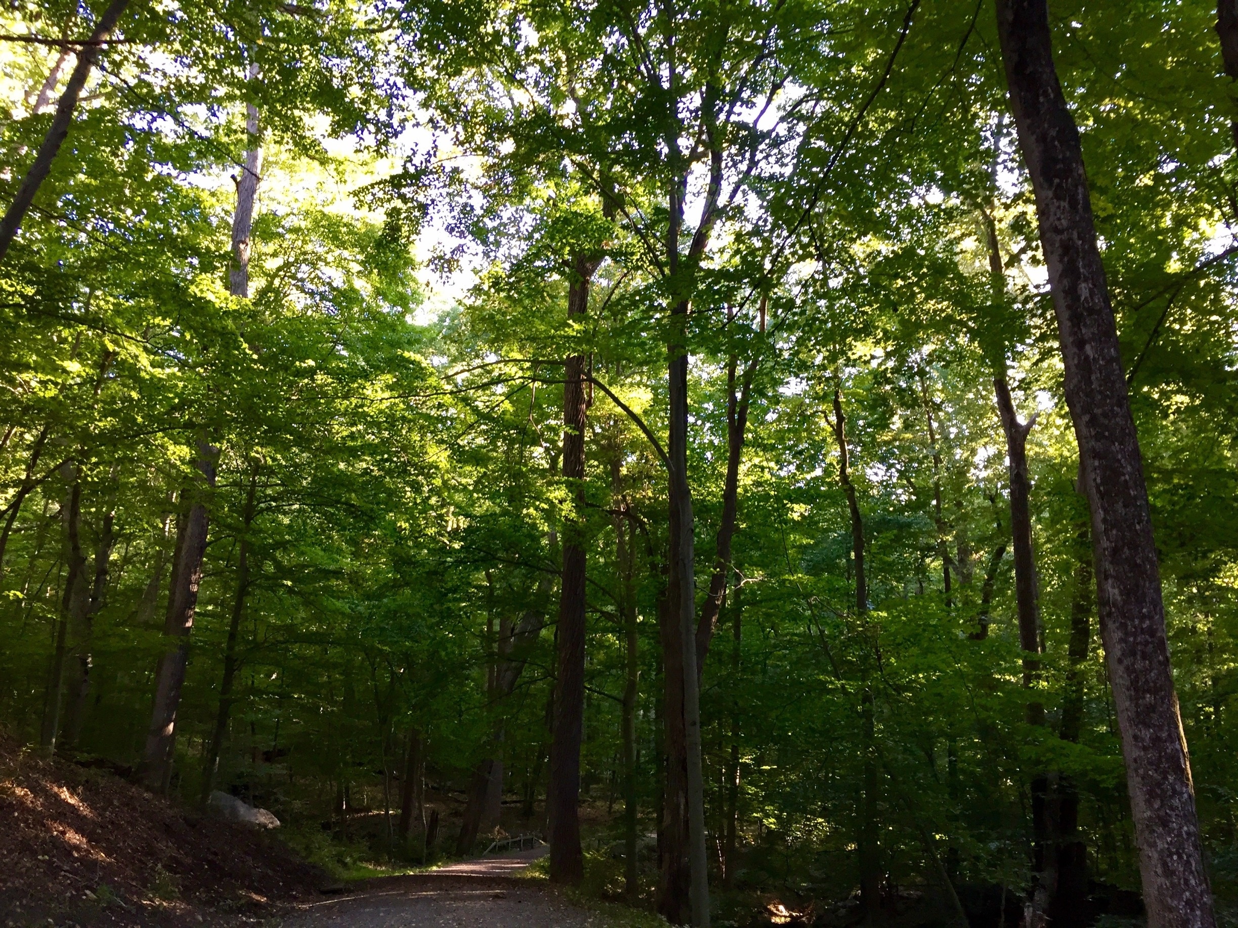 Visit Pleasantville Best of Pleasantville Tourism Expedia Travel Guide