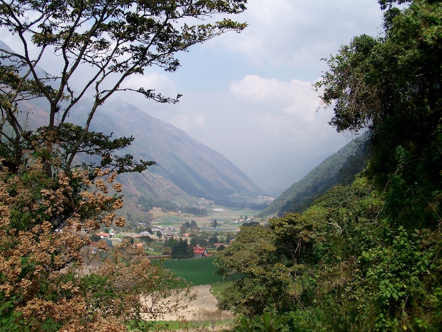 While visiting friends in Sabana de Mendoza, Venezuela, we rode up into the Andes Mountains. It was much prettier than the picture turned out.