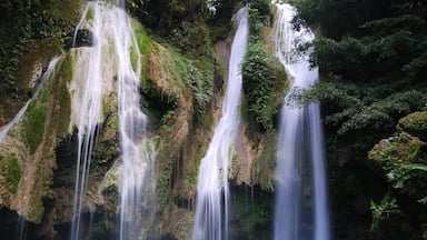 A 20-minute drive from the Kabankalan City proper, Mag-aso Falls is a stunning place. #roadtrip