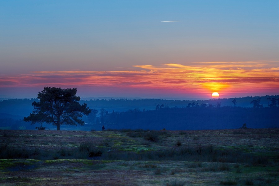 Watching the sun go down over the forest. It's one of the best places to unwind and relax after a hard week at work.