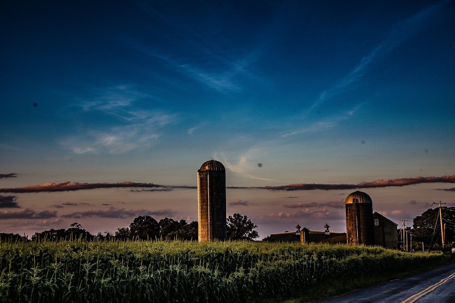 Farm life