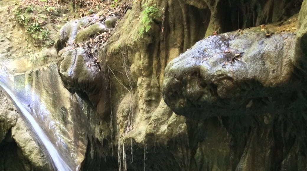 27 Waterfalls, Imbert, Puerto Plata, Republik Dominika