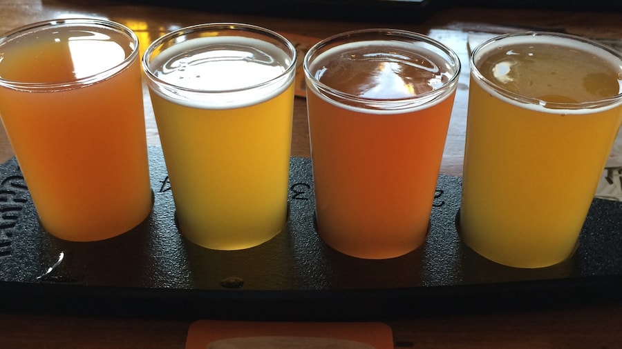Beer Flight at Harpoon Brewery in Boston.
Want some recommendations for breweries to visit in Boston? Visit my blog for more info: niume.com/post/219286
#Boston #Beer #Travel #Harpoon #SamAdams