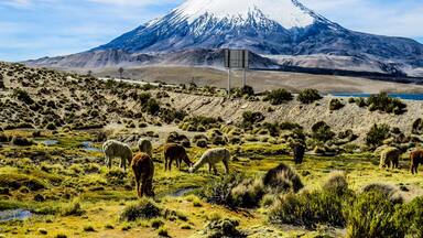 Parinacota Volcano on the border of Chile and Bolivia. This photo was taken on the chilean side at Lauca National Park.