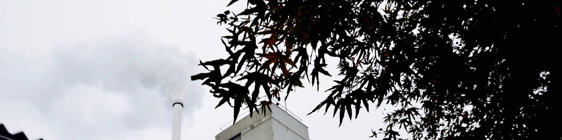 The real Zaans chocolate factory #industrialholland #holland