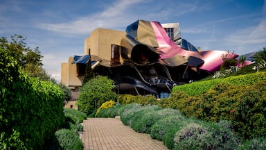 The Frank Gehry-designed hotel in the midst of the Marques de Riscal vinyards. A winery tour and tasting and the chance to see this stunning architecture up close make this a worthwhile stop.