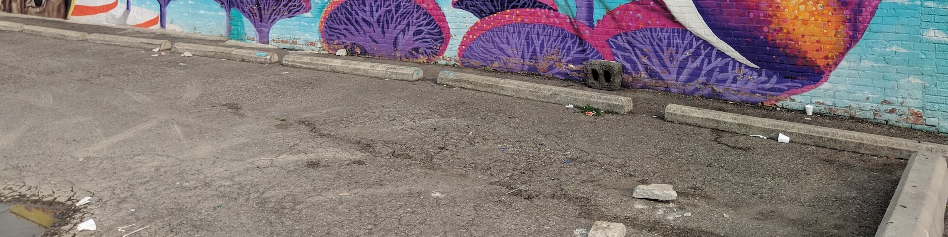 Loving the beautiful murals that represent Hamtramck's multicultural makeup #hamtramck #detroit #travel #mural #streetview #color #seetheworld #traveltheunitedstates