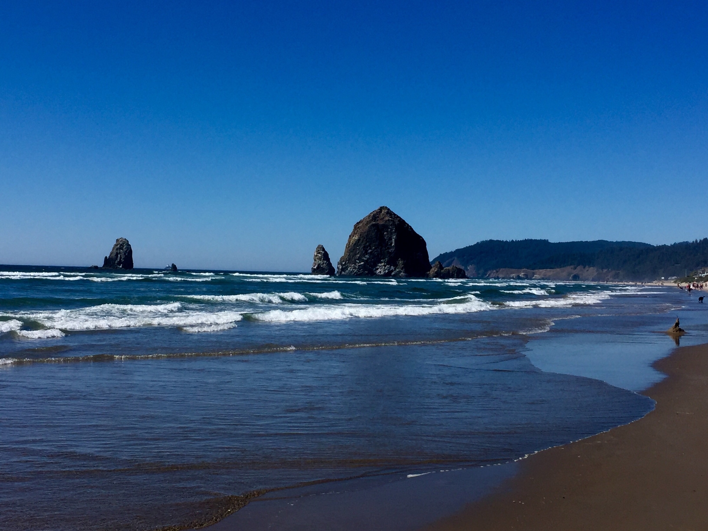 Cannon Beach's iconic Haystack Rock at low tide. 