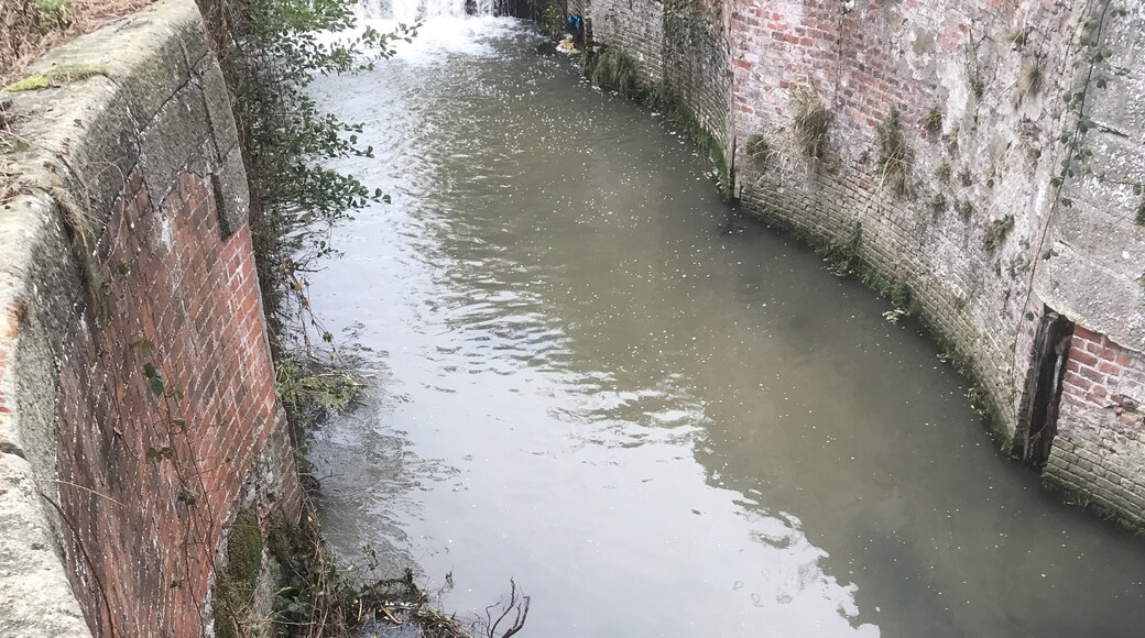 Billede taget af Martin Gerrish