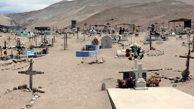 From the port city of #Arica traveling to the #Luca NP you pass the town on #Poconchille. Town makes it seem big. But it's not. What's cool about it is this not so little desert cemetery. Fun to walk along the graves. An unexpected sight. 