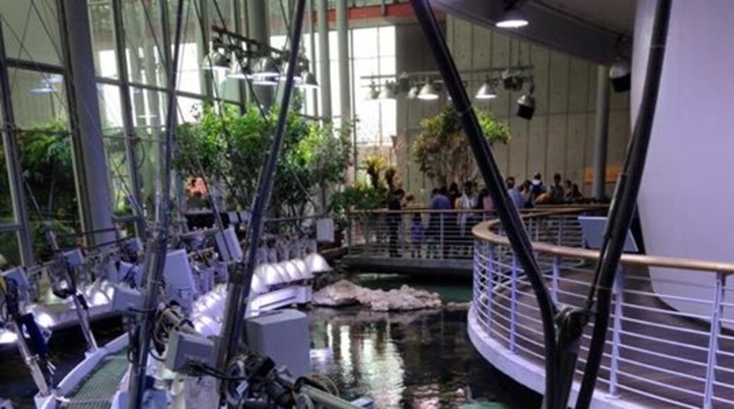 Ảnh của Vin Lane-Kieltyka