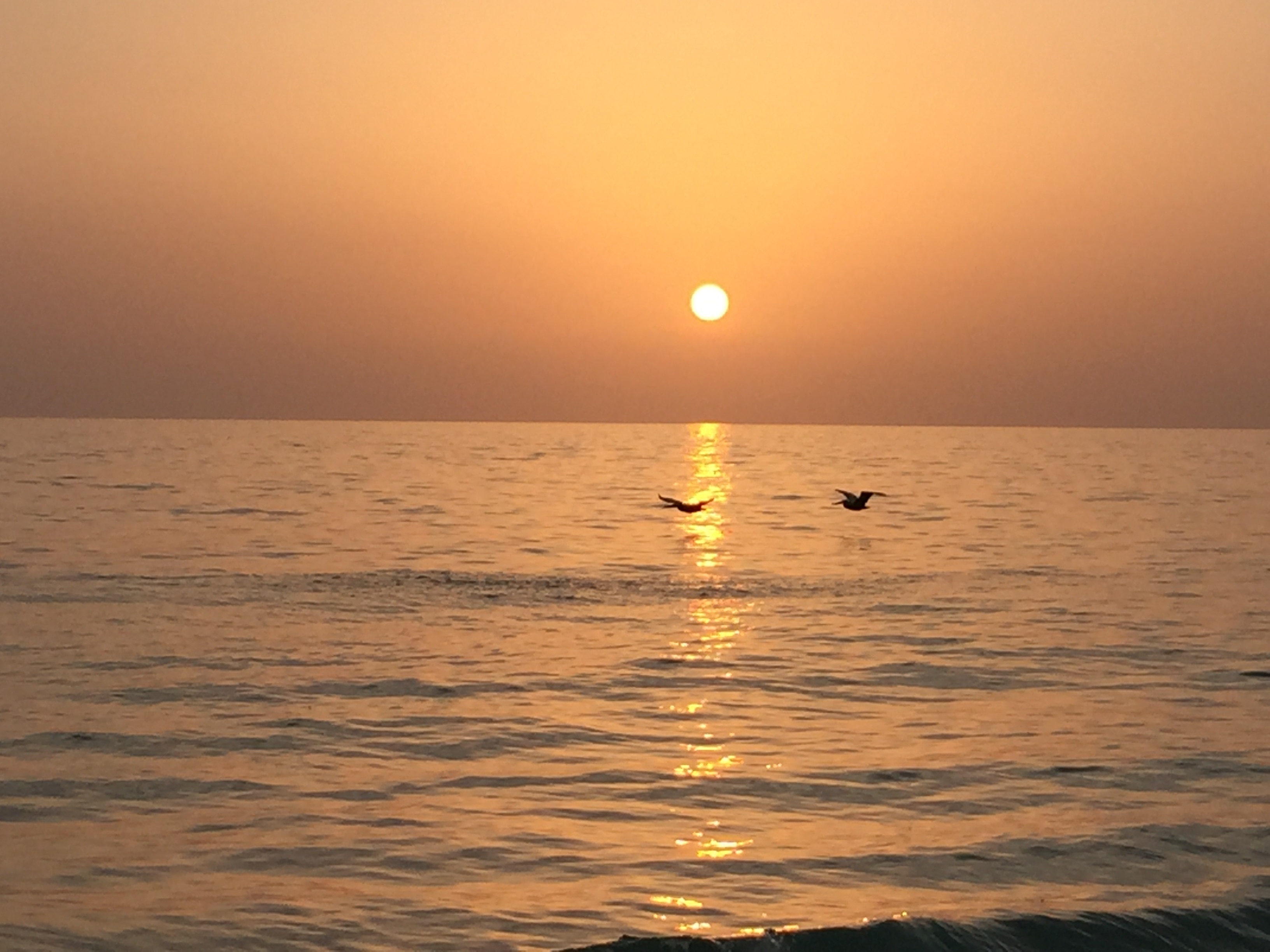 A beautiful sunset with a pair of pelicans on Captiva Island.