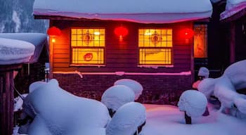 #LifeAtExpedia
Frozen world with lanterns, located in northern part of Heilongjiang.