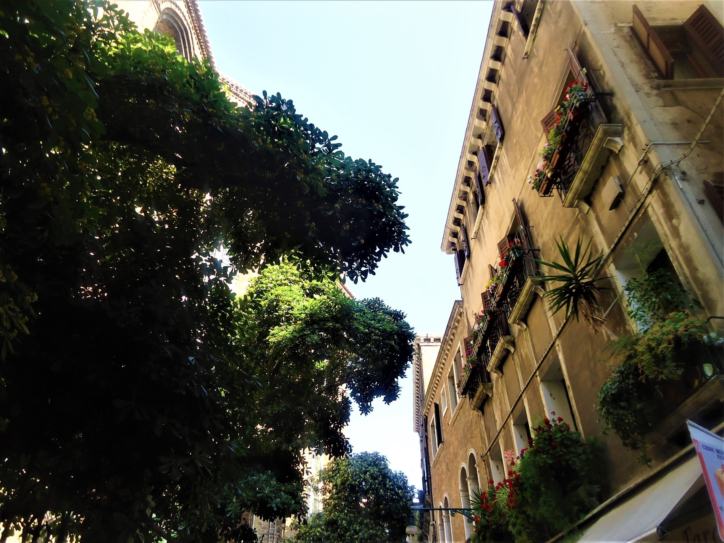 Walking through the cool shade of the #SalizadaSanRocco I couldn't help but admire the colour and the Beautiful buildings in this street, with the #Basilica dei Frari peepng through the #trees.
#Mediterranean
#LifeatExpedia
#Blue
#Architecture
#Colorful
#TreeTrove