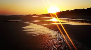 Watch the sunset from Kiawah Beachwalker Park, Kiawah Island, South Carolina. Kiawah is a golf-centered resort island with lots of palmettos, pine trees, and waterbirds. The dolphins practice "strand feeding" here, which is the act of herding the fish up on the beach along with a wave and wriggling up on the sand to retrieve them.
#UStravel
#travel 
#naturelovers 
#beach
#sunset
#Kiawah 
#SouthCarolina 
#RVlife
#earthporn
#goldenhour 
#camping
#glamping
#wanderlust
#beachbound 
www.RVLuckyOrWhat.com