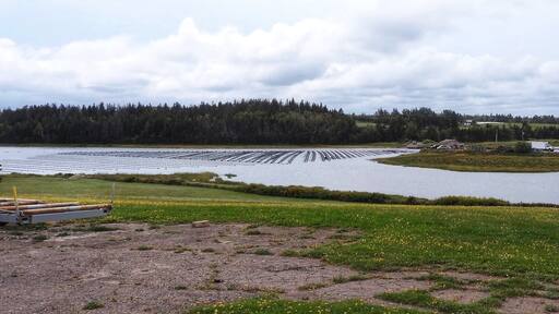 Photo by Geraldine Soh