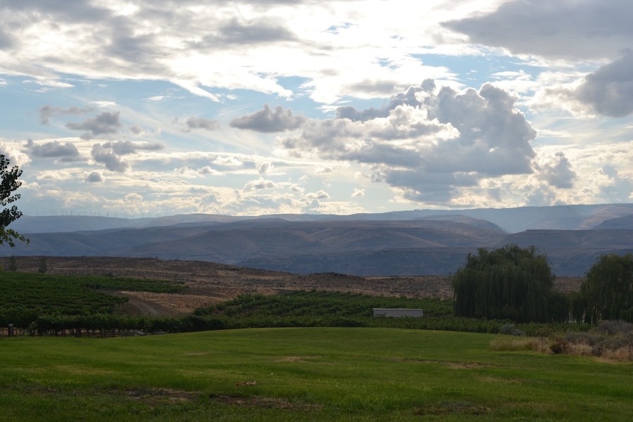 We accidentally stumbled upon the Cave B Winery while trying to check out the Gorge Amphitheater and so glad we stopped. Highly recommend doing a tasting and then enjoying a glass outside on their patio area looking at the vineyard and mountains!