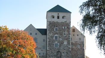 
Turku Castle 