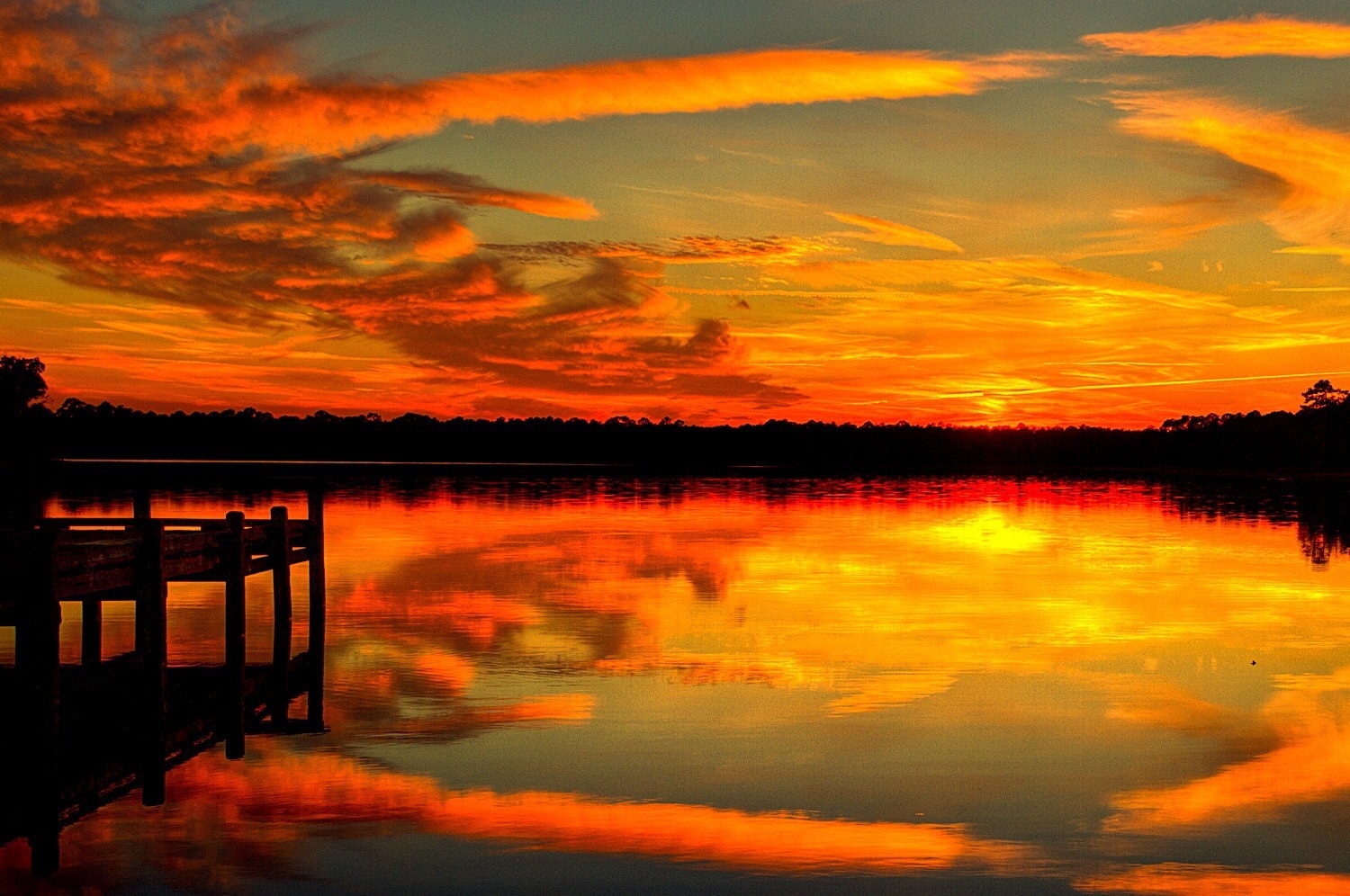 Photo by Tress Chapin