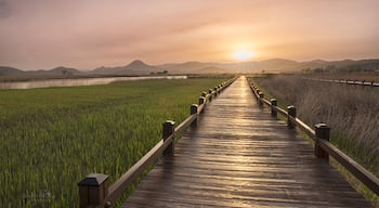 This was captured a few afternoons back at Suncheon Bay here in South Korea. Upon arrival it was raining and didn't look like holding up. I was rather disappointed as there was a hike to a lookout that I was keen to shoot with the setting sun. In need of coffee, we headed to a nearby cafe instead. Not long after placing our order I noticed nice light hitting the interior of the cafe. I looked out to see the sun fighting its way through the grey. With only 20 minutes before sunset I was torn between chasing the light or enjoying a warm cup. Like always, the light of course won me over and I found myself charging up the hill like a mad tourist. I stopped to capture this on the way. Somehow I managed to make it to the top of the 2km hike, much to the disgust of my calves, and I managed to witness a site I really thought I wouldn't see. I've lost count of the times the sun has broken through the darkest of skies. You can't ever doubt. #goldenhour #sunset #suncheon #korea #travel 