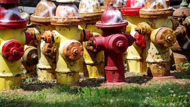 Somewhere along the Mississippi river we came across this fire hydrant graveyard.