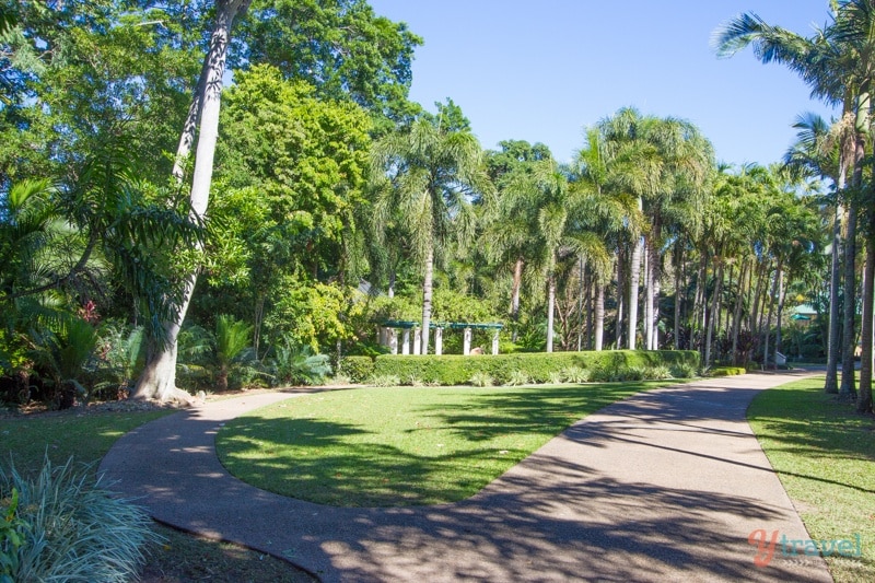 Palmetum Gardens is one of Townsville’s four Botanical Gardens. It’s a 17 hectare botanic garden displaying one of the largest and most diverse public collections of palms in the world – 300 species of palm, many rare and threatened, and includes most Australian palms.